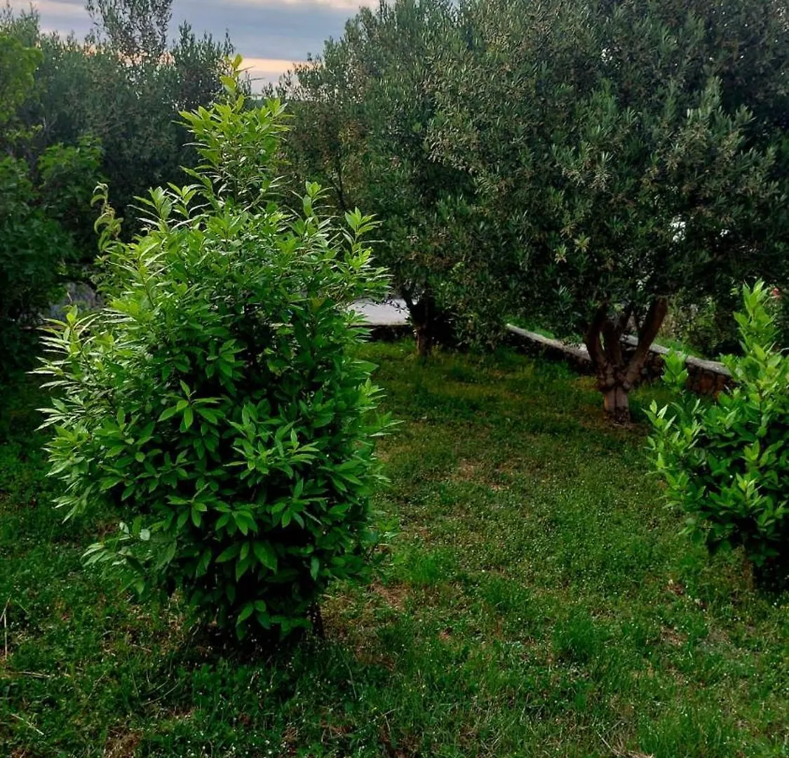 Apartment Tina Hreljin Croatia